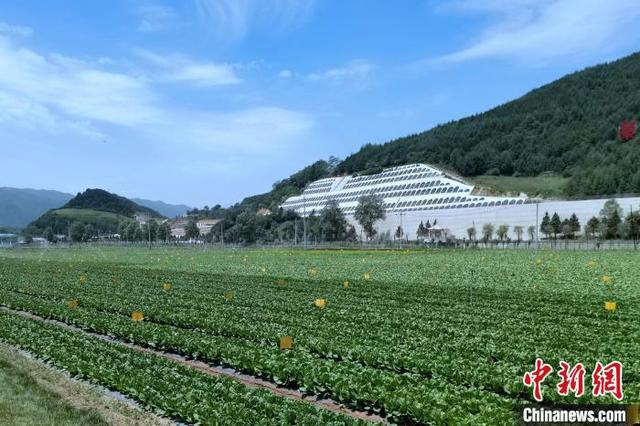 商品车运输 第90页