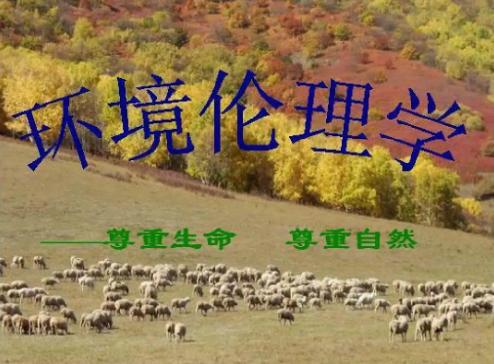 青岛物流公司 第34页
