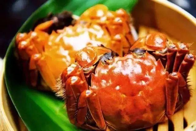 最新螃蟹，捕捉、烹饪与品尝的全方位指南